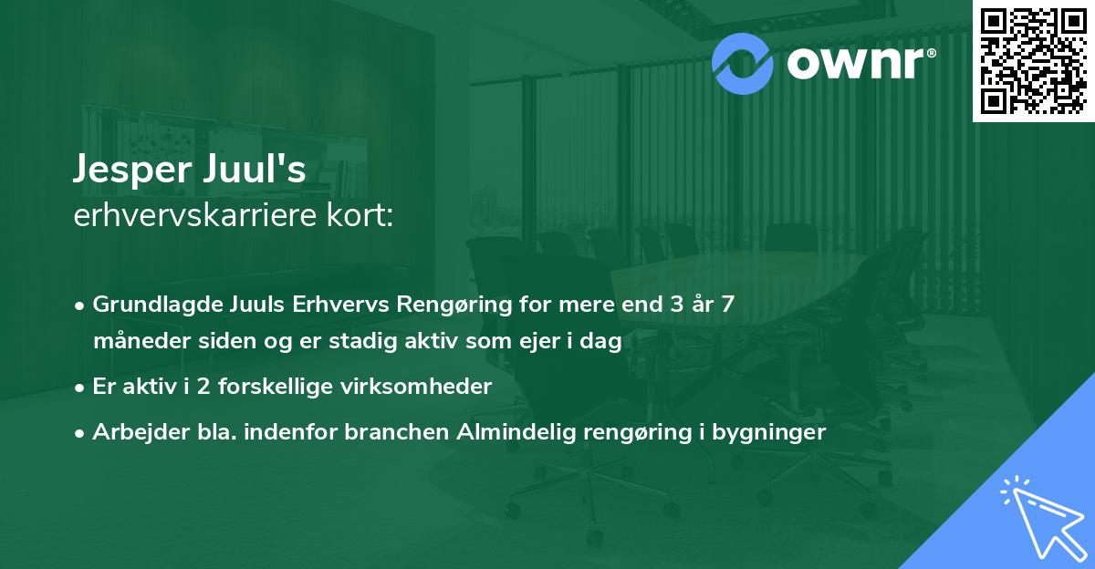 Jesper Juul's erhvervskarriere kort
