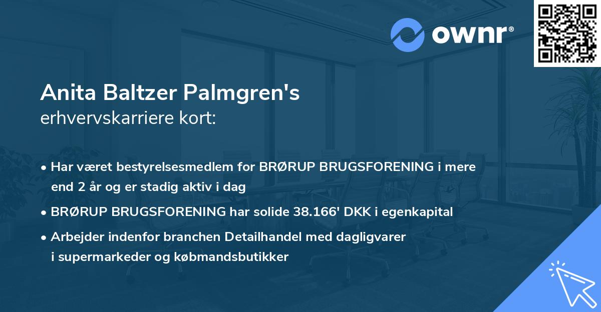 Anita Baltzer Palmgren's erhvervskarriere kort