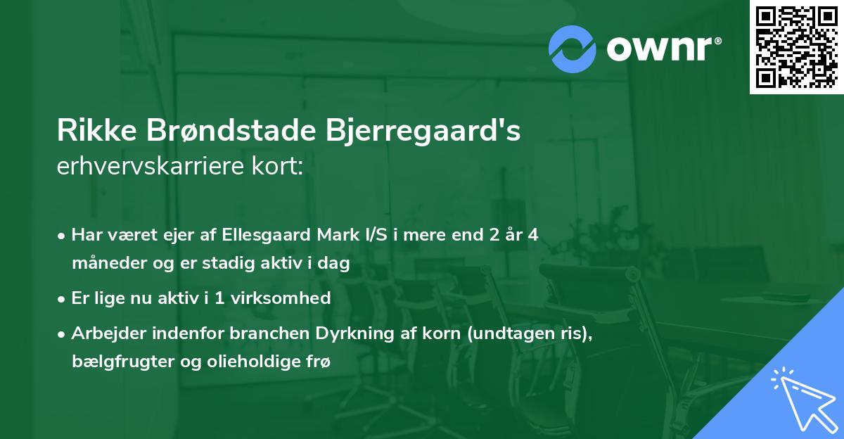 Rikke Brøndstade Bjerregaard's erhvervskarriere kort