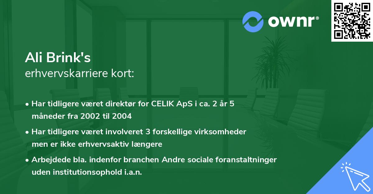 Ali Brink's erhvervskarriere kort