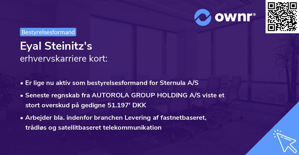 Eyal Steinitz's erhvervskarriere kort