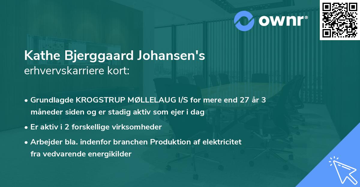 Kathe Bjerggaard Johansen's erhvervskarriere kort