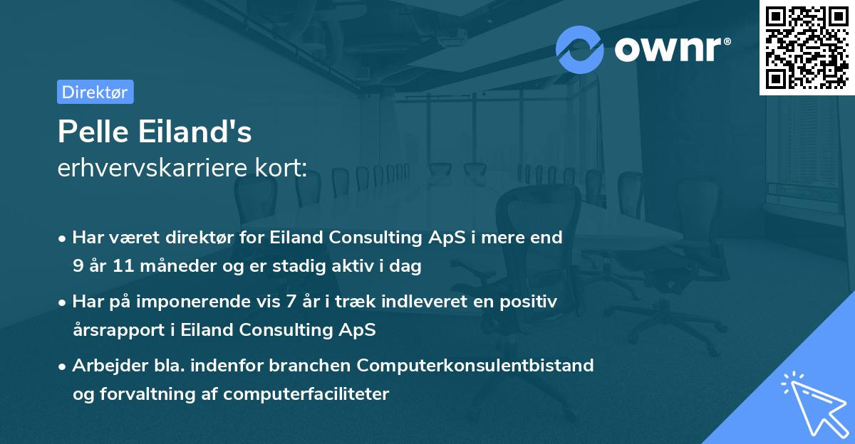 Pelle Eiland's erhvervskarriere kort