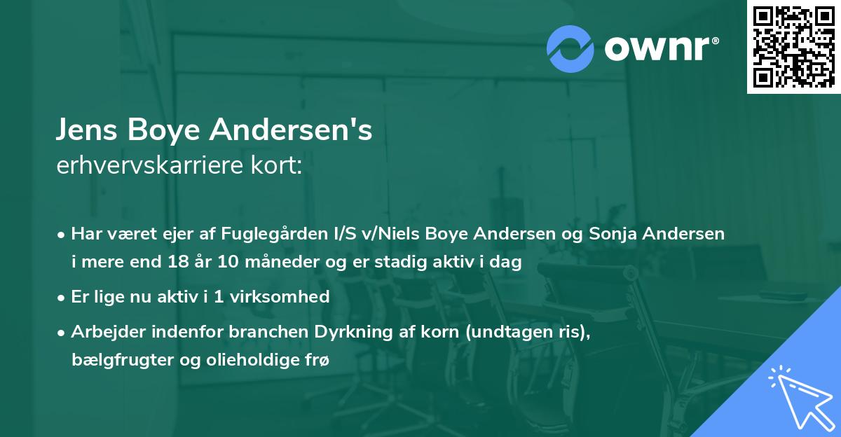 Jens Boye Andersen's erhvervskarriere kort