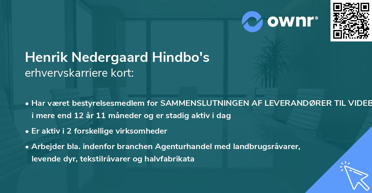 Henrik Nedergaard Hindbo's erhvervskarriere kort