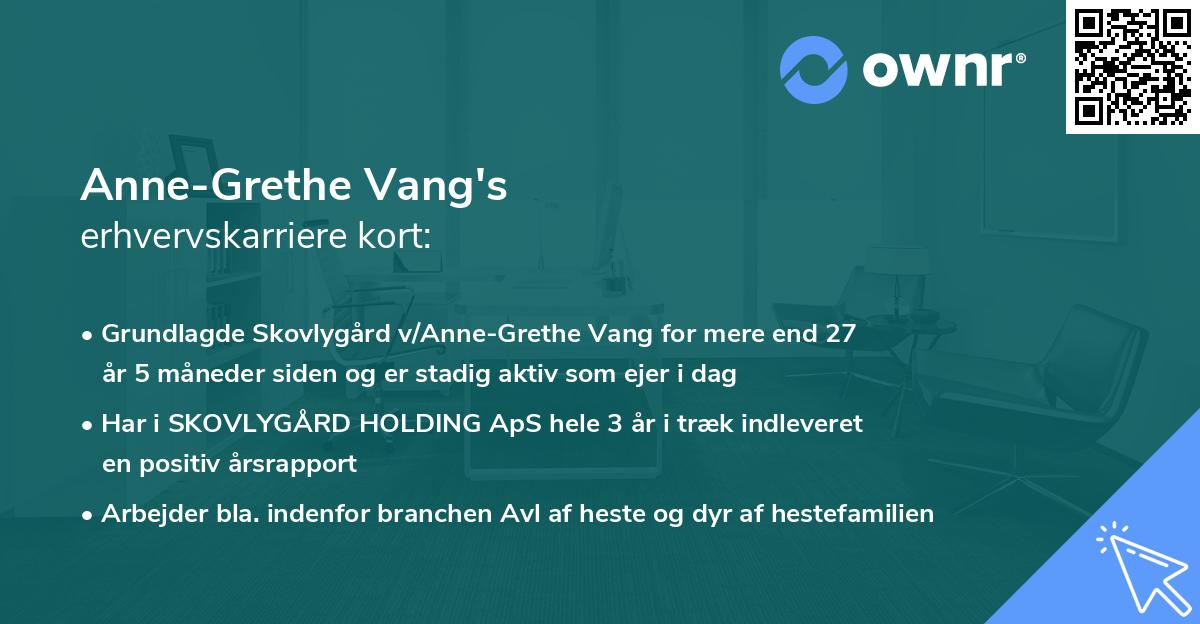 Anne-Grethe Vang's erhvervskarriere kort