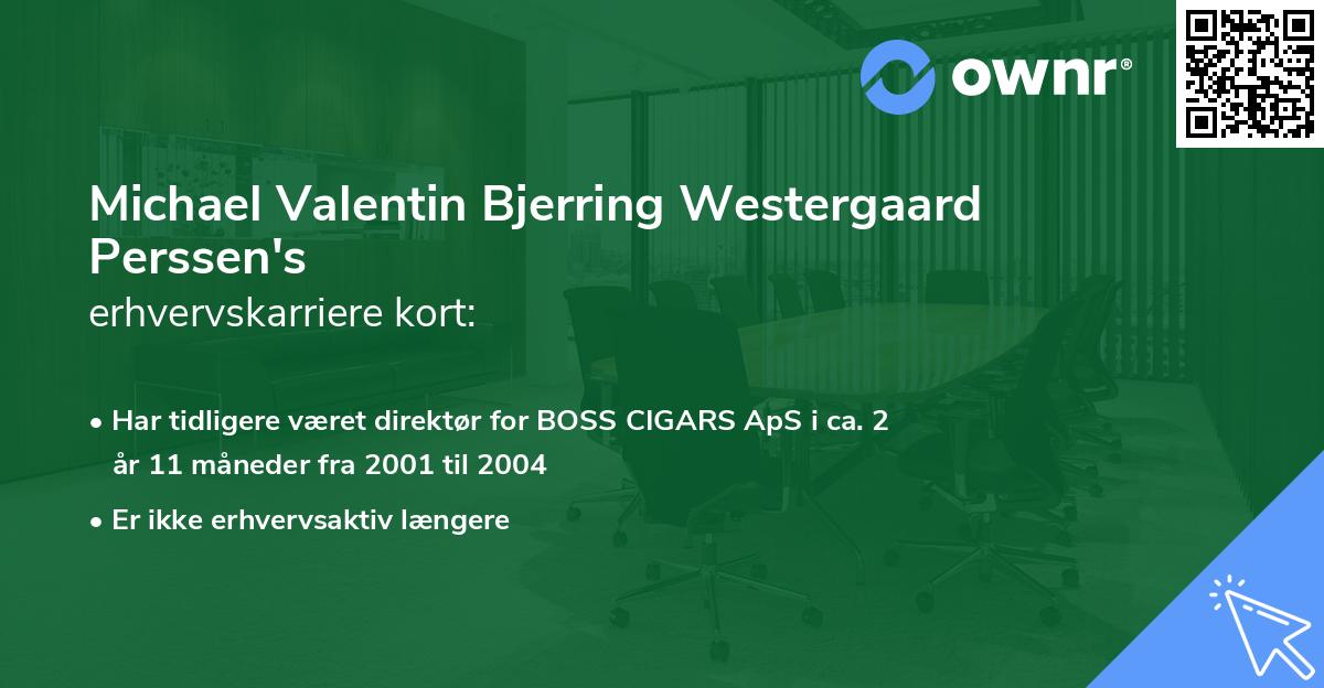 Michael Valentin Bjerring Westergaard Perssen's erhvervskarriere kort