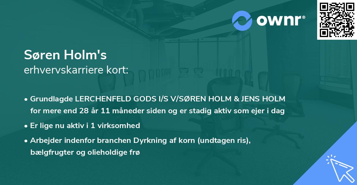 Søren Holm's erhvervskarriere kort
