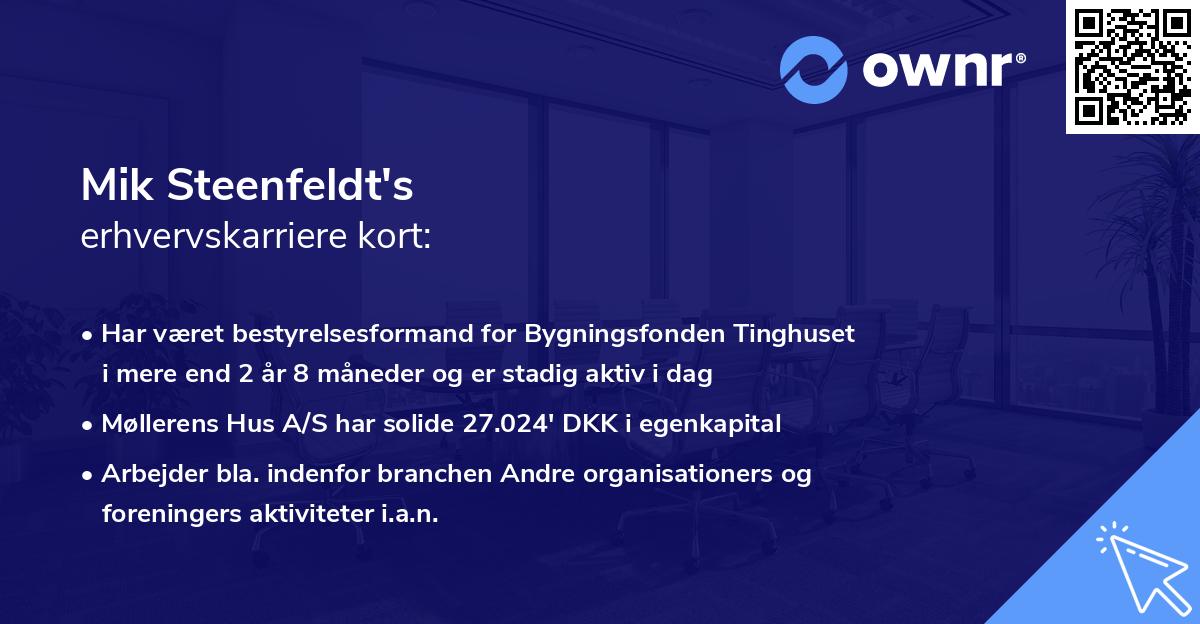 Mik Steenfeldt's erhvervskarriere kort