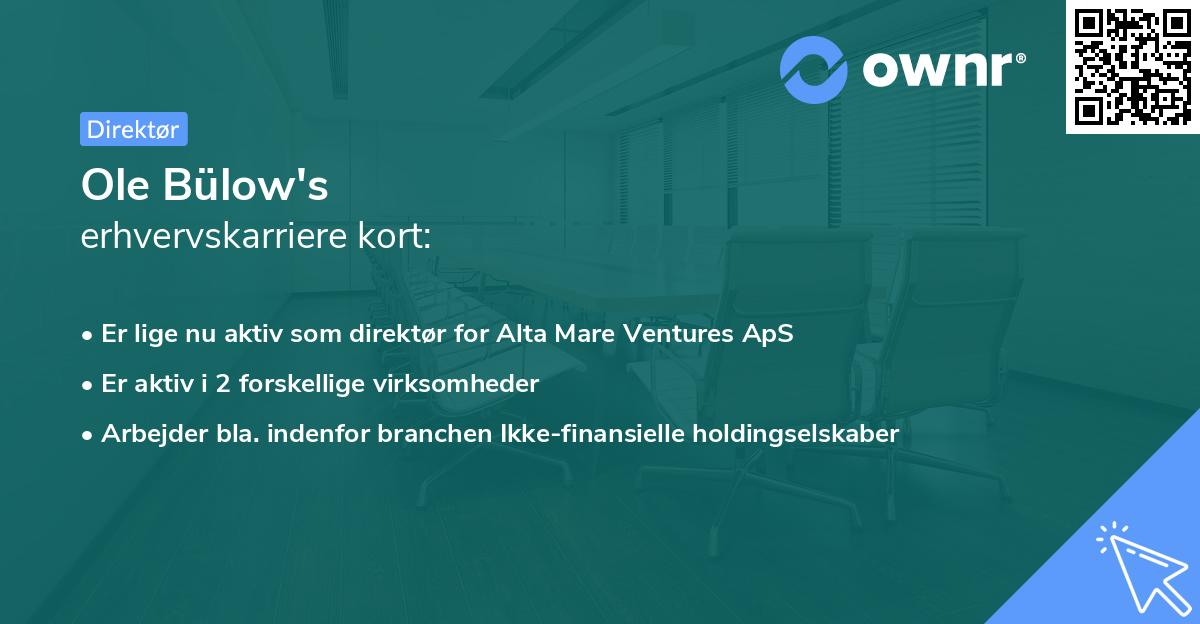Ole Bülow's erhvervskarriere kort
