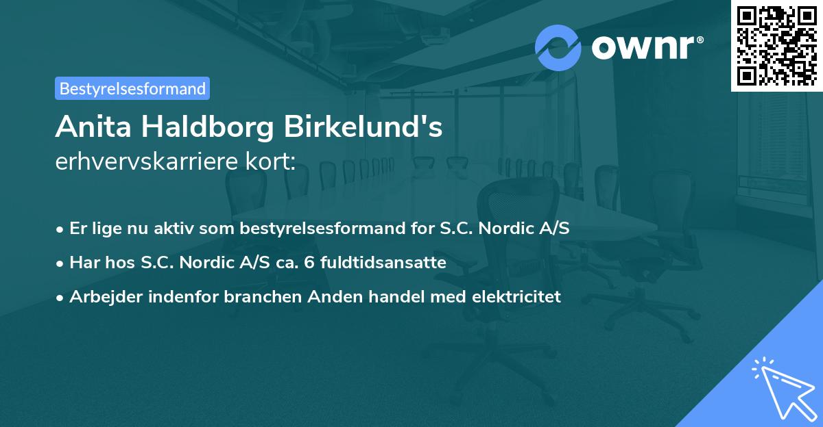 Anita Haldborg Birkelund's erhvervskarriere kort
