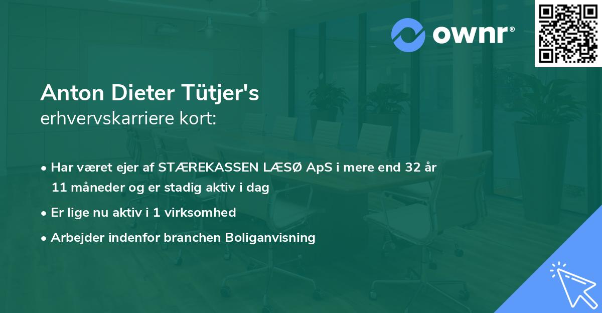 Anton Dieter Tütjer's erhvervskarriere kort
