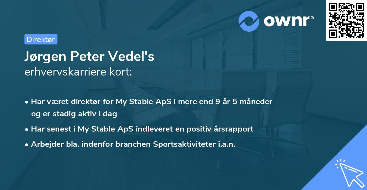Jørgen Peter Vedel's erhvervskarriere kort