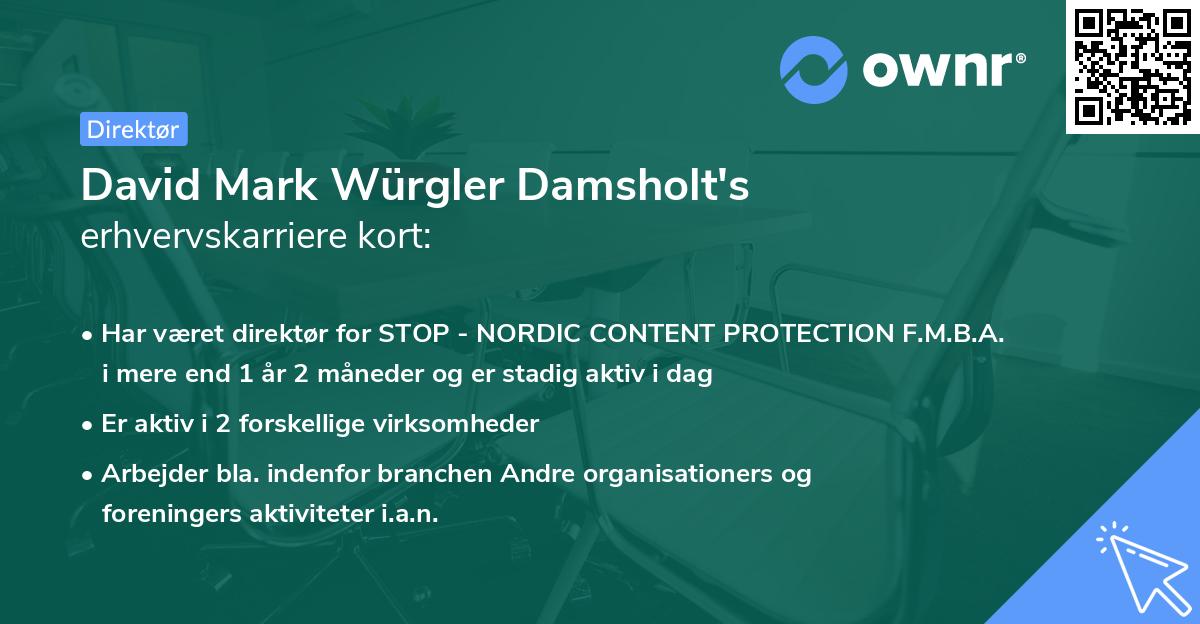 David Mark Würgler Damsholt's erhvervskarriere kort