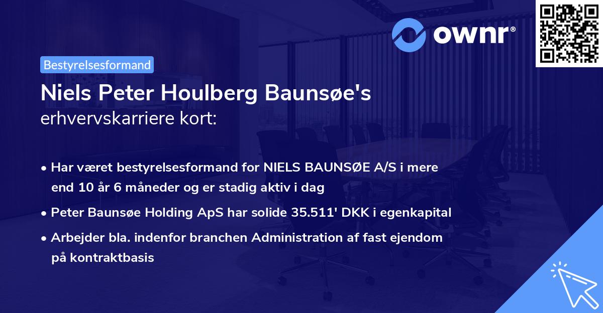 Niels Peter Houlberg Baunsøe's erhvervskarriere kort