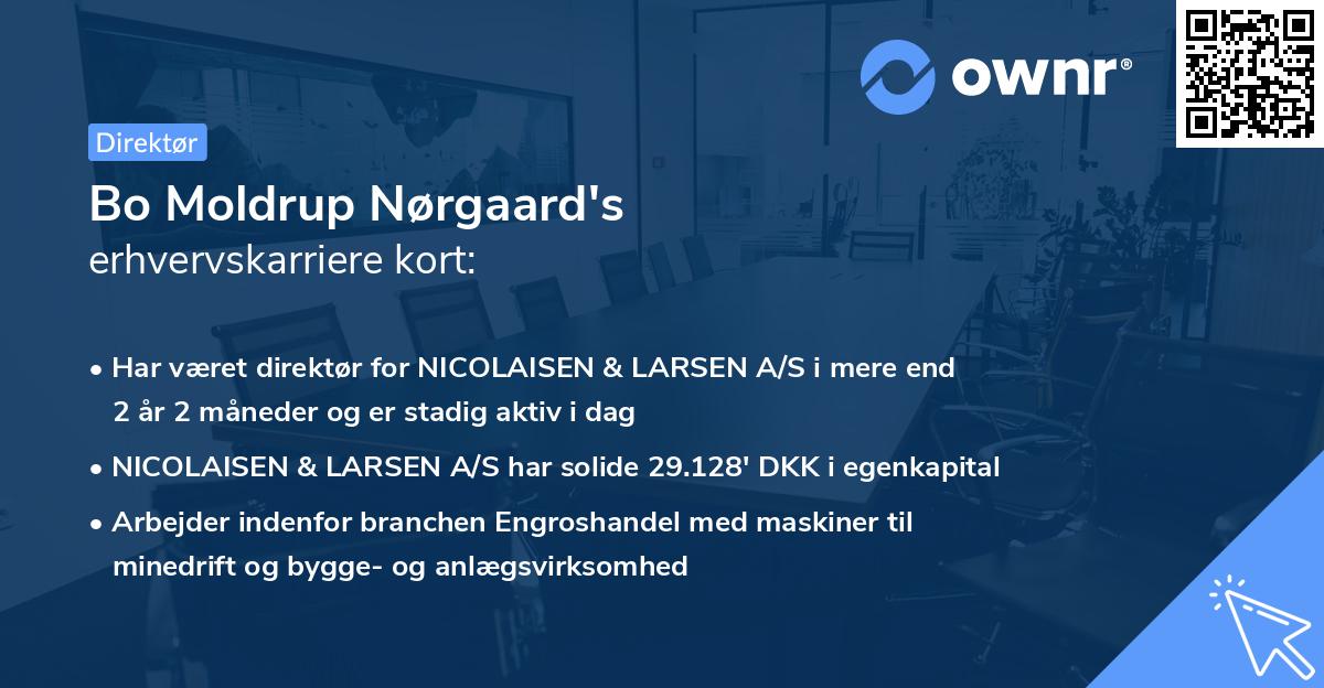 Bo Moldrup Nørgaard's erhvervskarriere kort