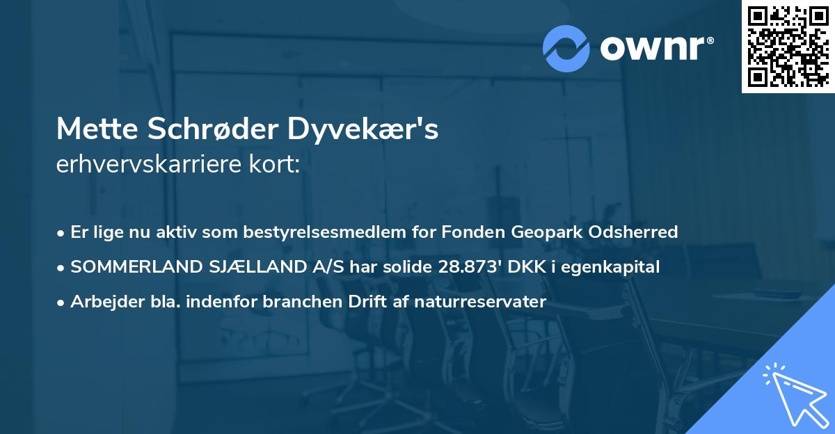 Mette Schrøder Dyvekær's erhvervskarriere kort
