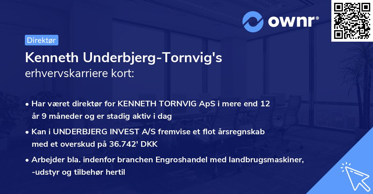 Kenneth Underbjerg-Tornvig's erhvervskarriere kort