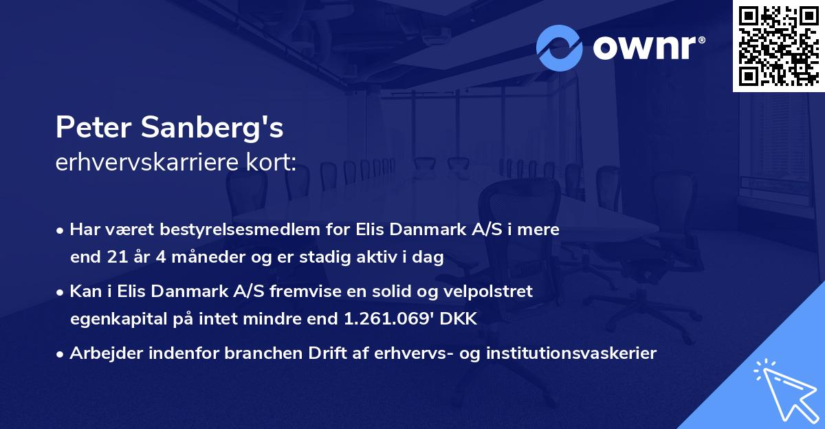 Peter Sanberg's erhvervskarriere kort