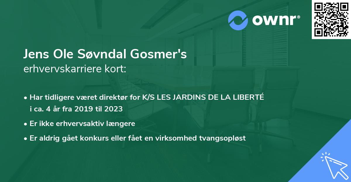 Jens Ole Søvndal Gosmer's erhvervskarriere kort