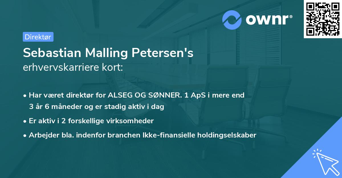 Sebastian Malling Petersen's erhvervskarriere kort