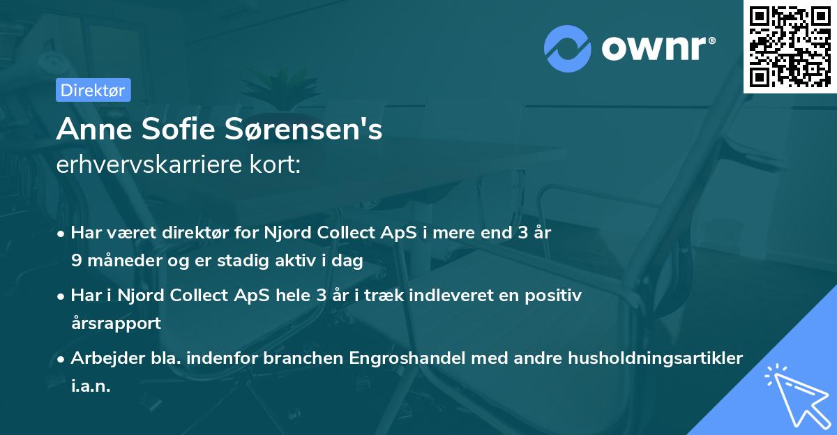 Anne Sofie Sørensen's erhvervskarriere kort