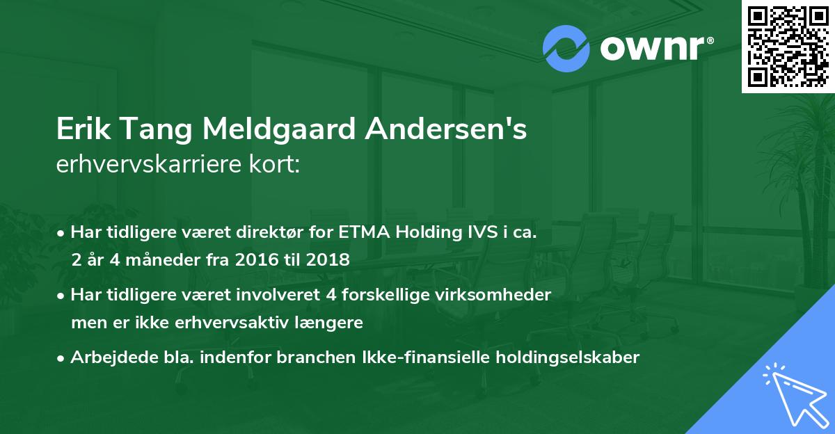 Erik Tang Meldgaard Andersen's erhvervskarriere kort