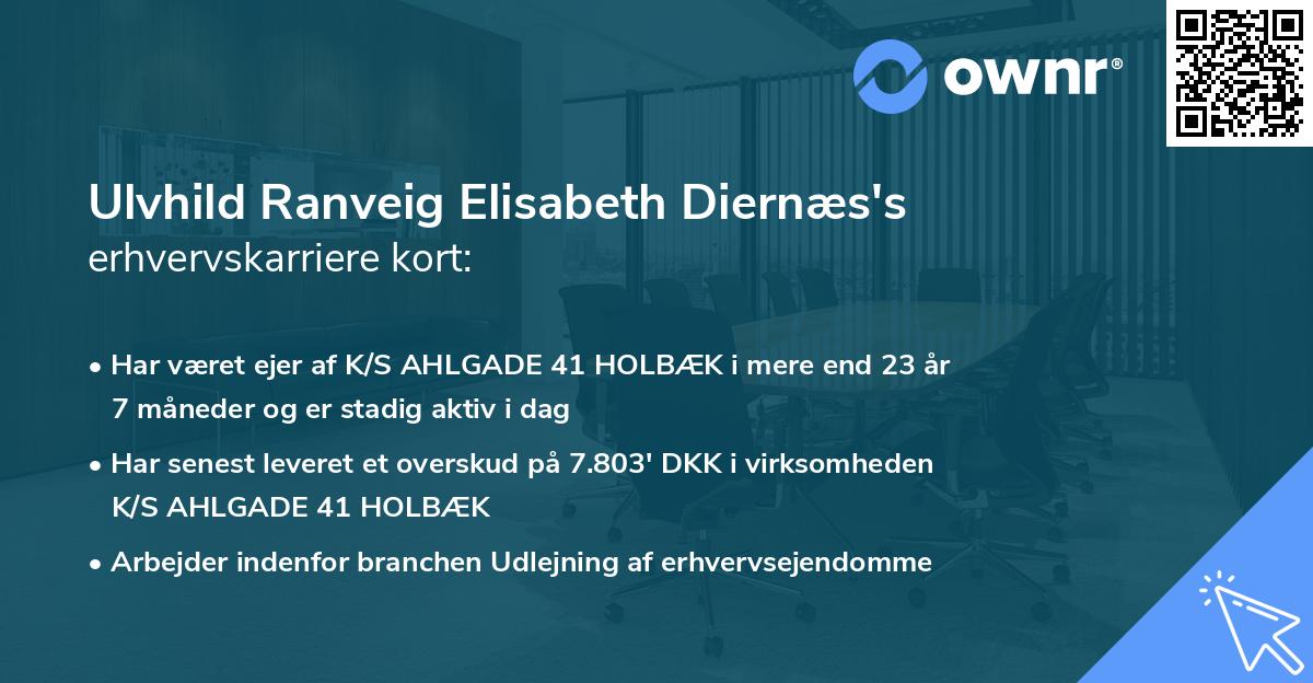 Ulvhild Ranveig Elisabeth Diernæs's erhvervskarriere kort