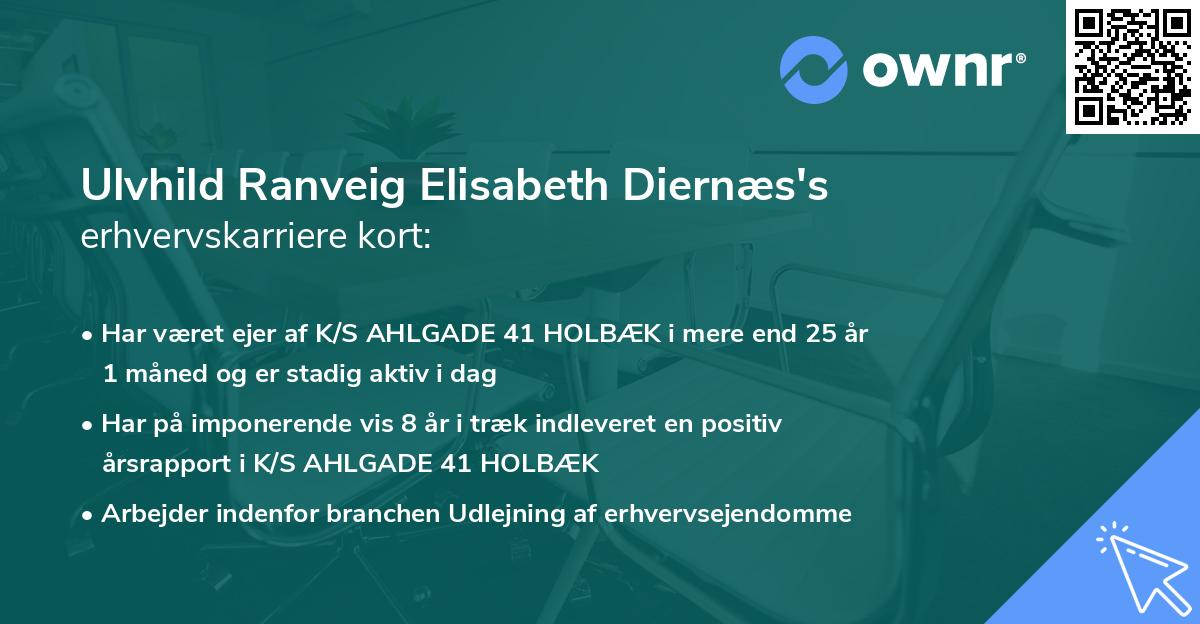 Ulvhild Ranveig Elisabeth Diernæs's erhvervskarriere kort