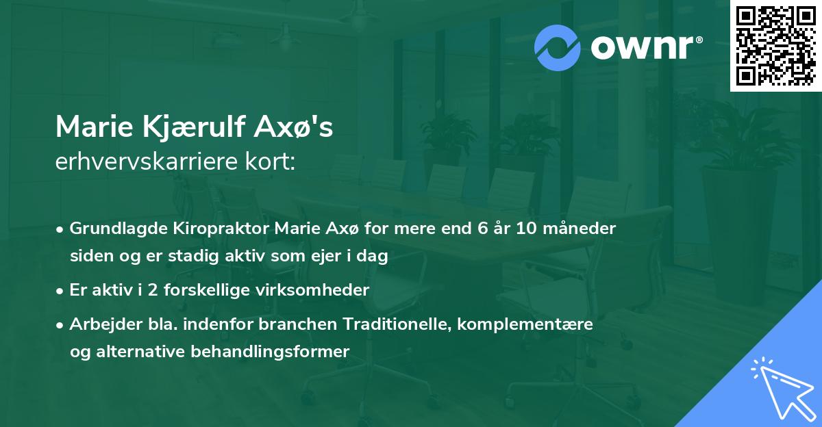 Marie Kjærulf Axø's erhvervskarriere kort