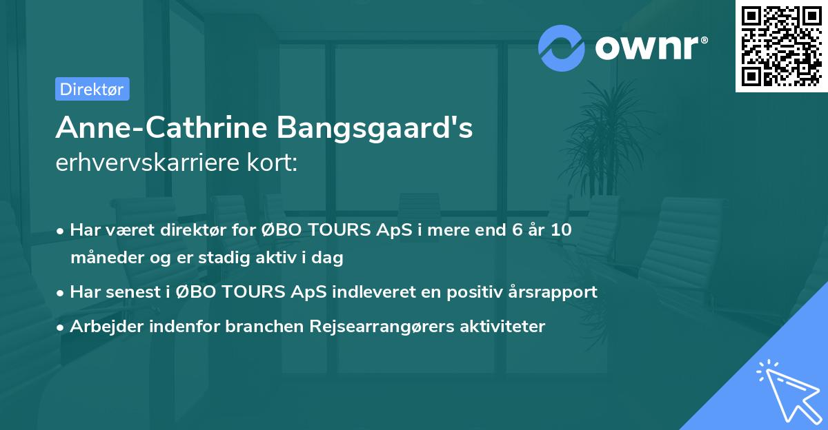Anne-Cathrine Bangsgaard's erhvervskarriere kort
