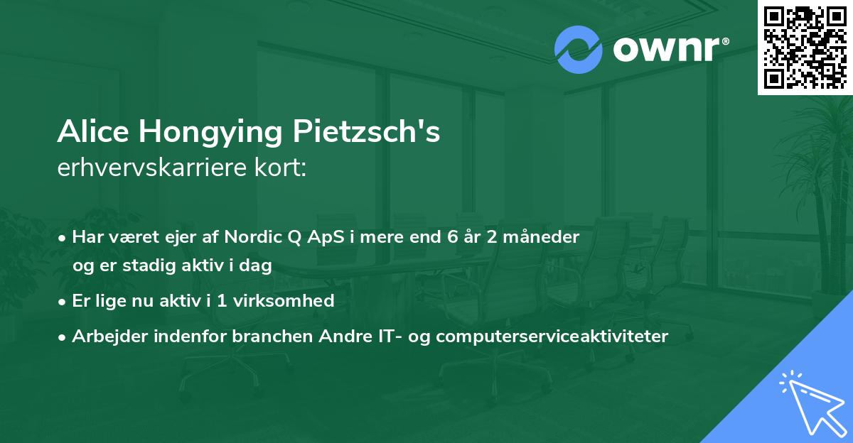 Alice Hongying Pietzsch's erhvervskarriere kort