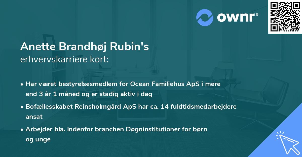 Anette Brandhøj Rubin's erhvervskarriere kort