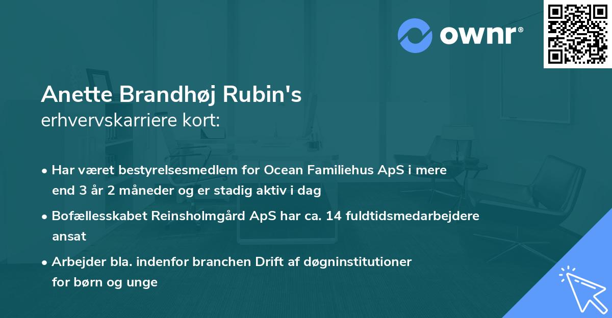 Anette Brandhøj Rubin's erhvervskarriere kort