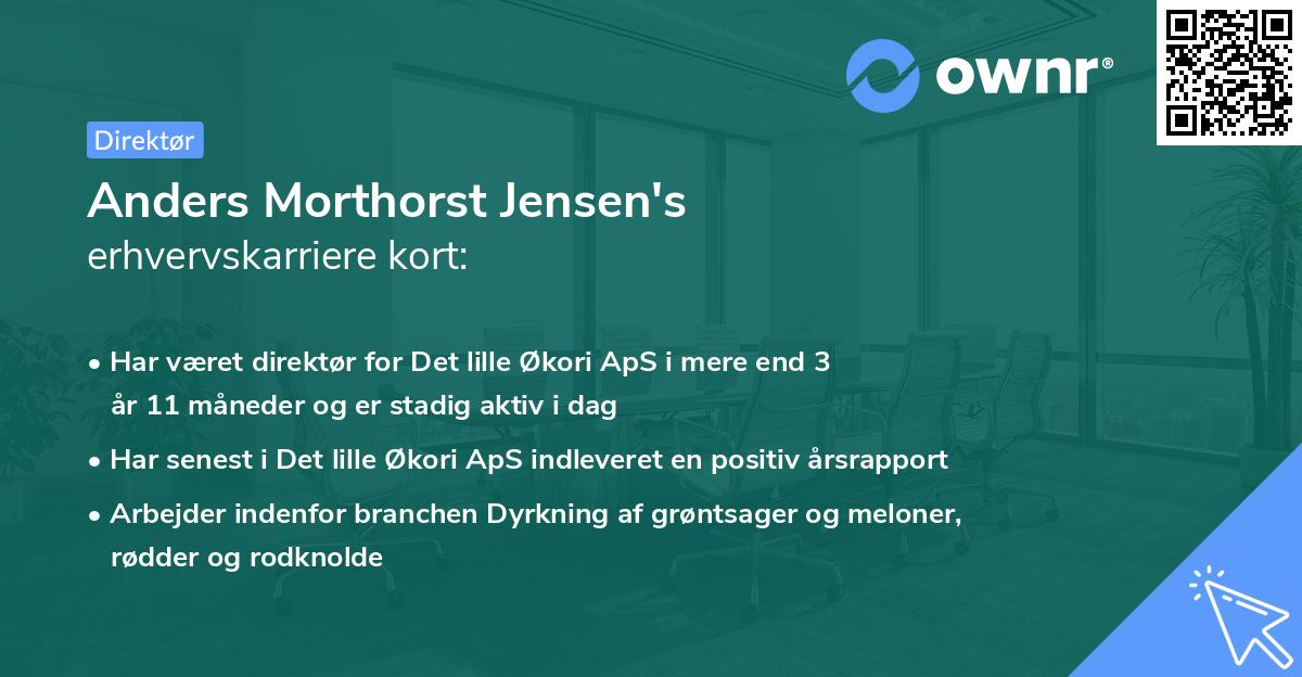 Anders Morthorst Jensen's erhvervskarriere kort