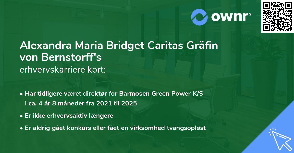 Alexandra Maria Bridget Caritas Gräfin von Bernstorff's erhvervskarriere kort