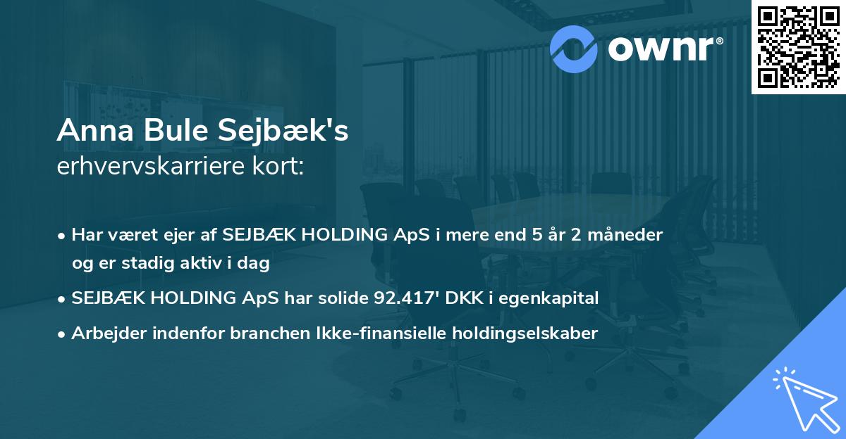 Anna Bule Sejbæk's erhvervskarriere kort