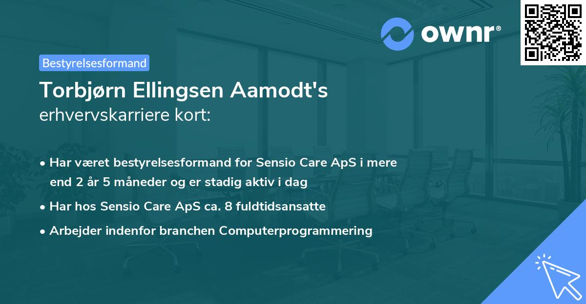 Torbjørn Ellingsen Aamodt's erhvervskarriere kort