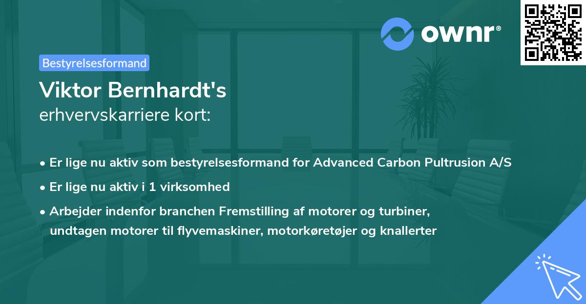 Viktor Bernhardt's erhvervskarriere kort