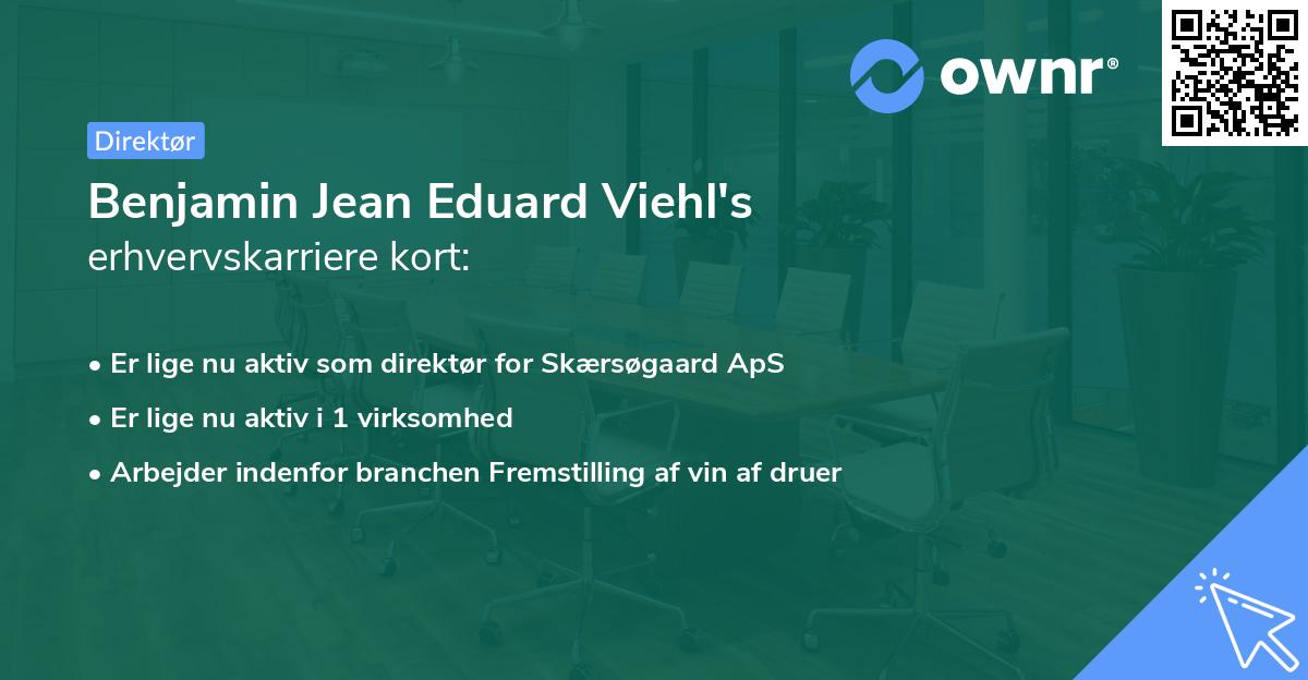 Benjamin Jean Eduard Viehl's erhvervskarriere kort