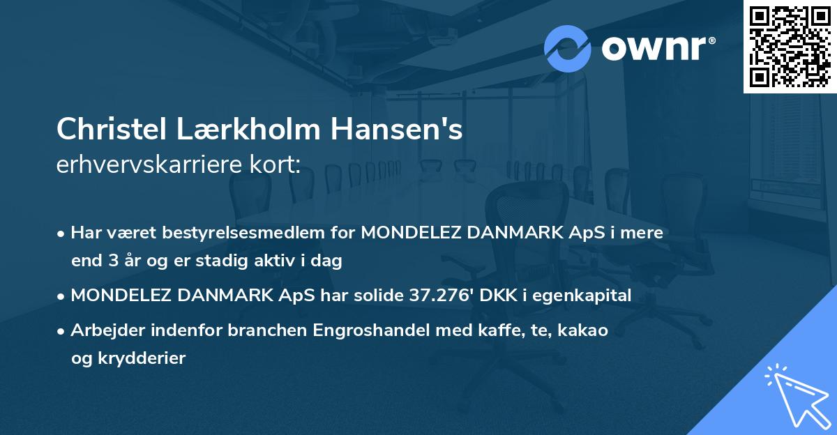 Christel Lærkholm Hansen's erhvervskarriere kort