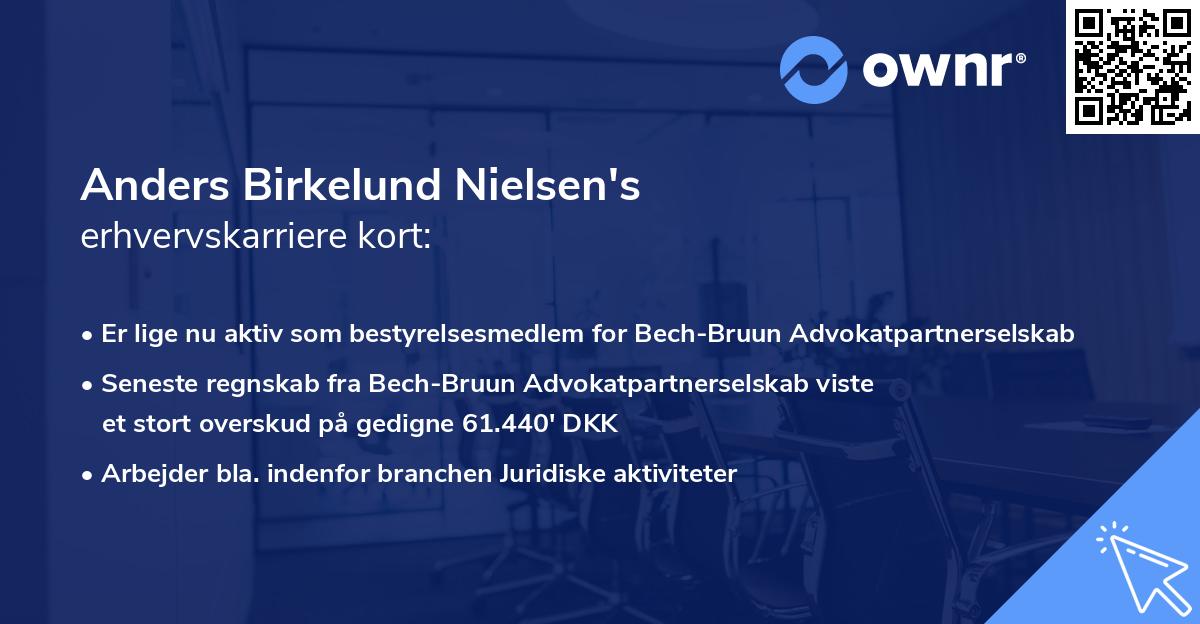 Anders Birkelund Nielsen's erhvervskarriere kort