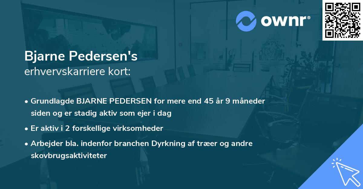 Bjarne Pedersen's erhvervskarriere kort