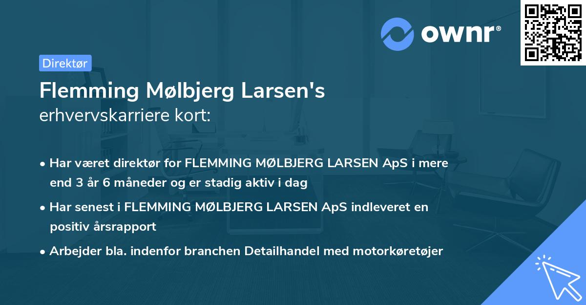 Flemming Mølbjerg Larsen's erhvervskarriere kort