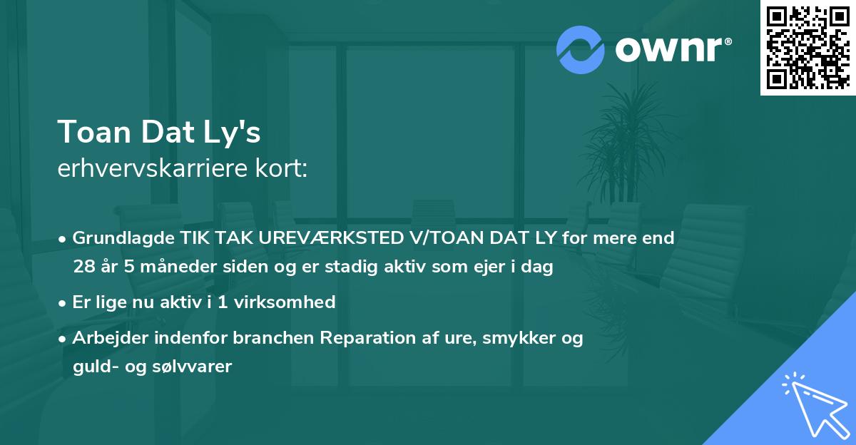 Toan Dat Ly's erhvervskarriere kort