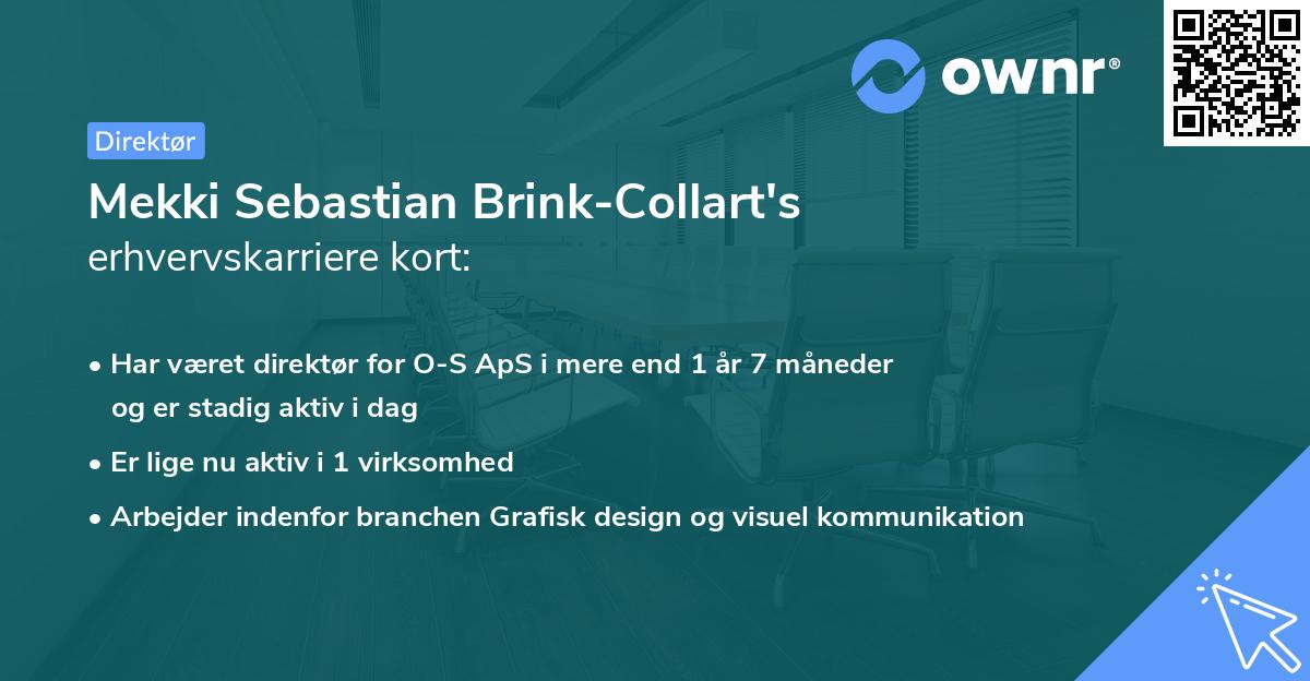 Mekki Sebastian Brink-Collart's erhvervskarriere kort