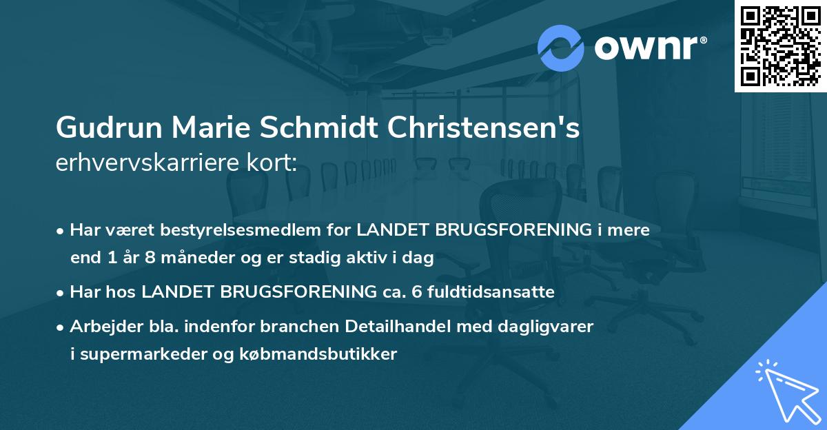 Gudrun Marie Schmidt Christensen's erhvervskarriere kort