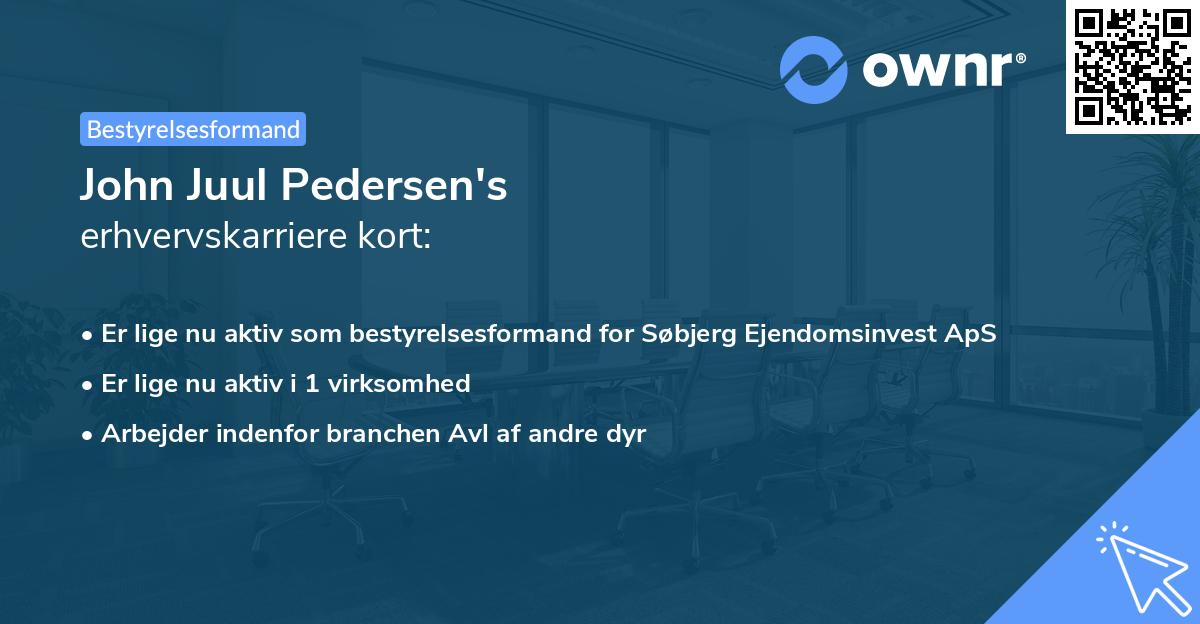 John Juul Pedersen's erhvervskarriere kort