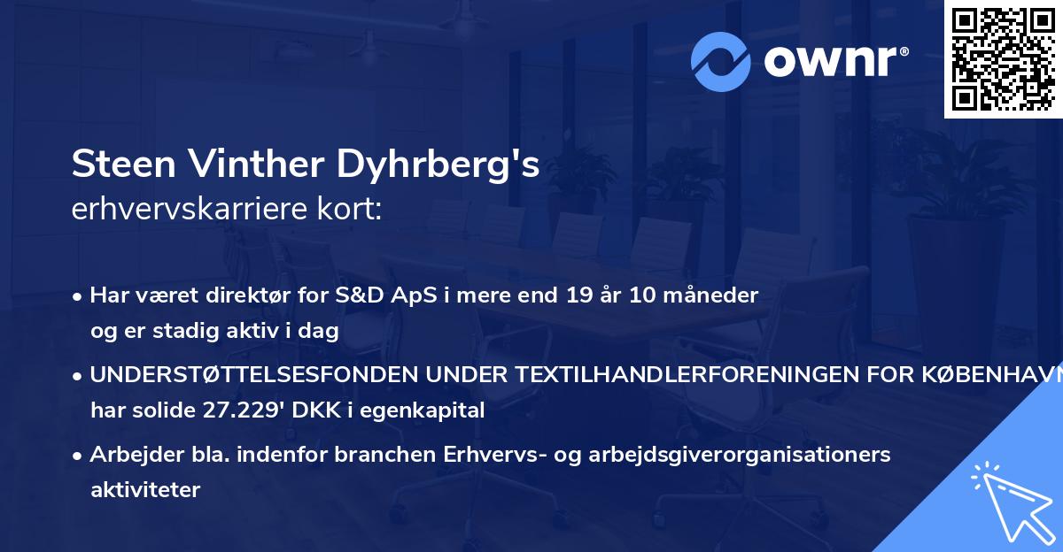 Steen Vinther Dyhrberg's erhvervskarriere kort