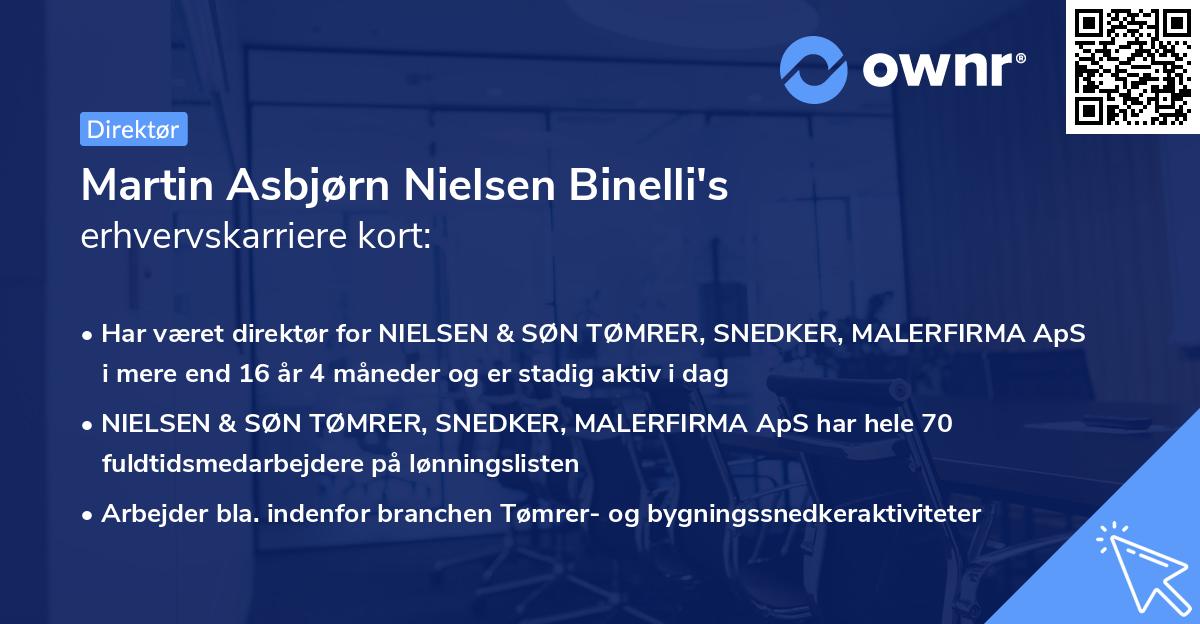 Martin Asbjørn Nielsen Binelli's erhvervskarriere kort